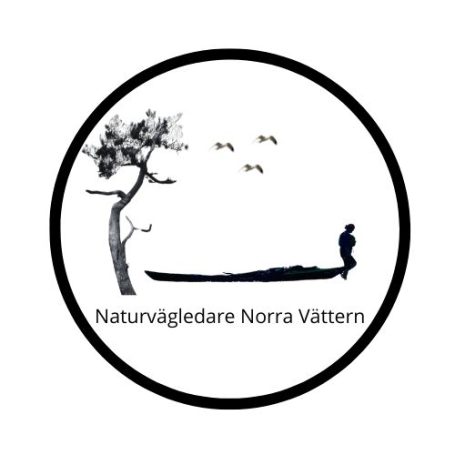Naturvägledare norra Vättern Logotyp för Naturvägledare Norra Vättern med träd, fåglar och en person i båt.