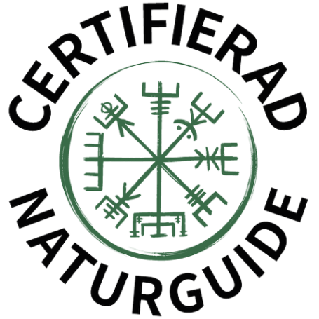 Kvalitetsbevis för Certifierad naturguide Logotyp för certifierad naturguide med runliknande symboler.